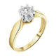 100-309 -13 0,52ct